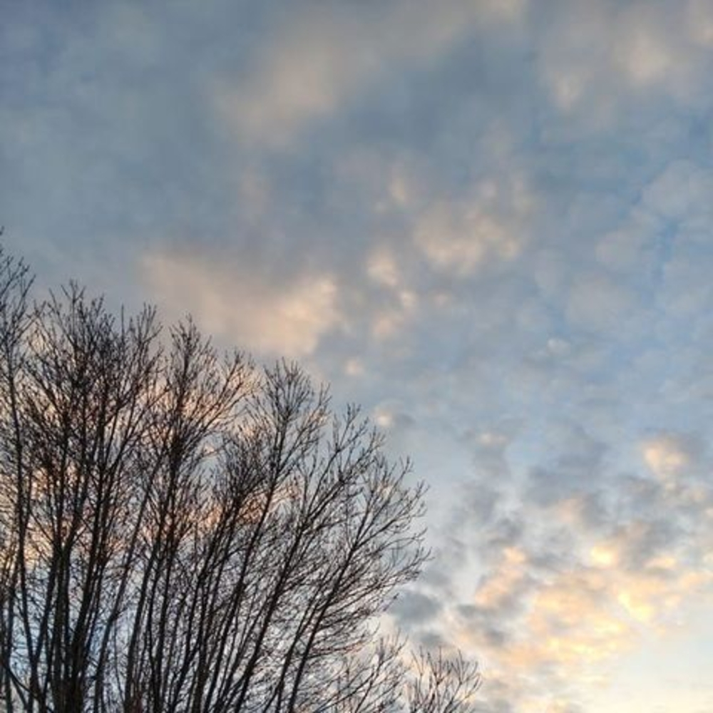 Meet your Posher, Katia